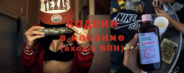 дурь Алексин