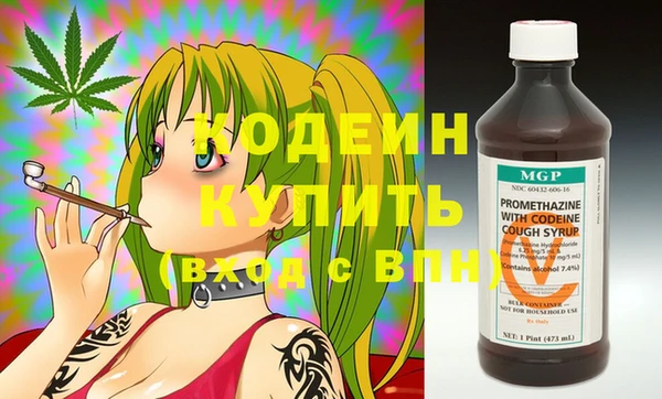 хмурый Алзамай