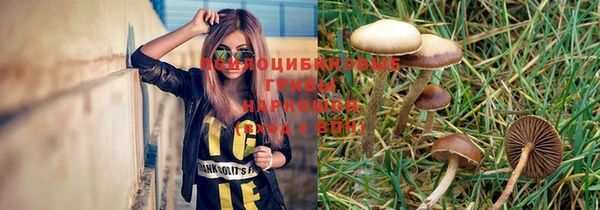хмурый Алзамай