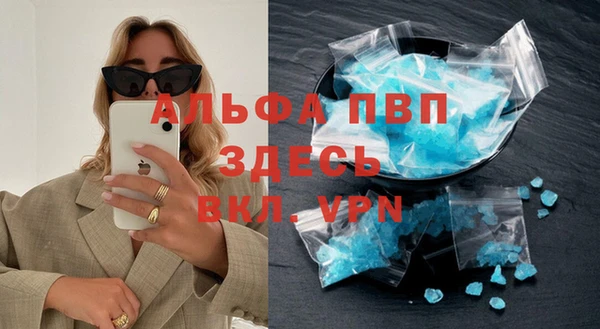хмурый Алзамай