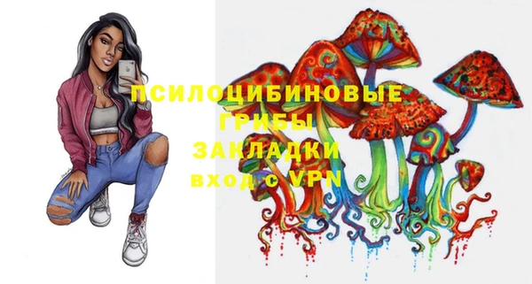 хмурый Алзамай