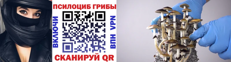 Галлюциногенные грибы MAGIC MUSHROOMS shop Telegram Белоярский